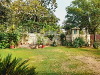Spacious 5-Bedroom House For Rent | 1244 Sq. Yards | Ideal For Diplomats