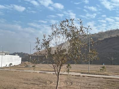 5 Marla Plots For Sale Citi Housing Jhelum - A Block