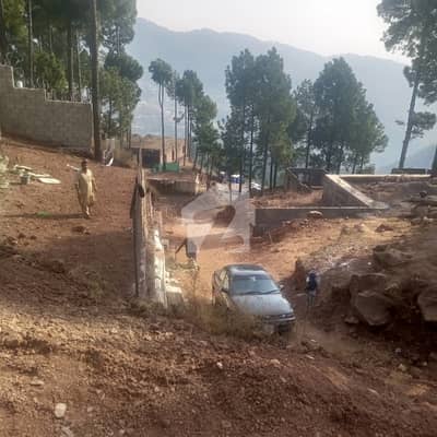 50 Marla Plot For Sale