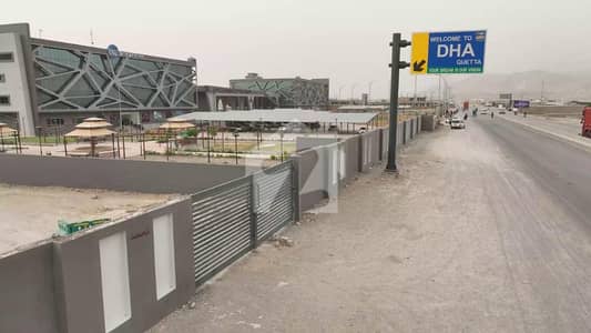 Early Bird Plot For Sale