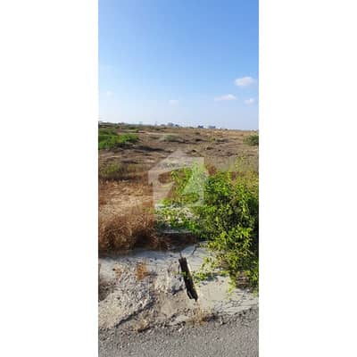 1000 Yards Residential Plot For Sale Zone-E. Off Khyber.