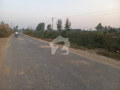 ما نگا - رائیونڈ روڈ لاہور میں 12 کنال زرعی زمین 1.8 کروڑ میں برائے فروخت۔