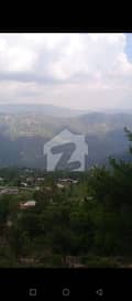 2 2