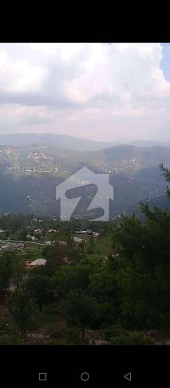 2 2