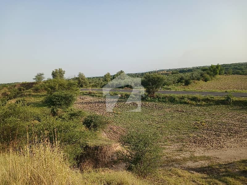 200 Kanal Agriculture Land For Sale Nella Dulla 200 Kanal Agriculture Land For Sale Nella Dulla