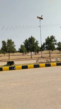 Rose 4 Marla Ballot Commercial Plot For Sale