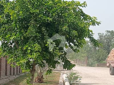 30 Marla Residential Plot For Sale