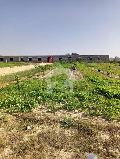 Farm House Available For Sale