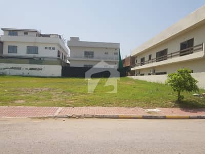 Already Rented Shop In DHA 1