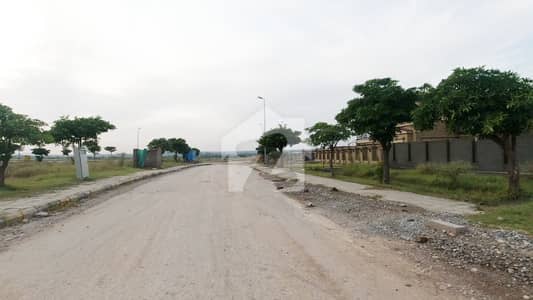 46 Marla Plot For Sale In Club City