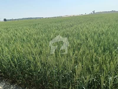 600 Kanal For Sale From MULTAN 50 Km Low Price