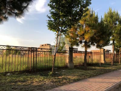 10 Marla Main Markaz Commercial Plot Available For Sale In Gulberg Residencia Lock D 10 Marla Main Markaz Commercial Plot Available For Sale In Gulberg Residencia Lock D