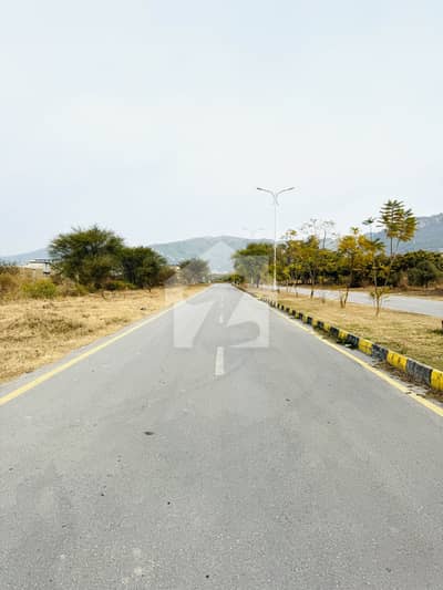 CORNER PLOT 40x80 FOR SALE BEST LOCATION