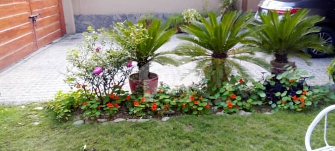 INVESTOR PRICE CORNER PLOT FOR SALE MAIN SERVICE ROAD