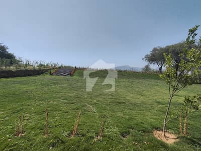 CORNER PLOT AVAILABLE FOR SALE