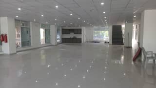 Beautiful Floor Available For Rent
