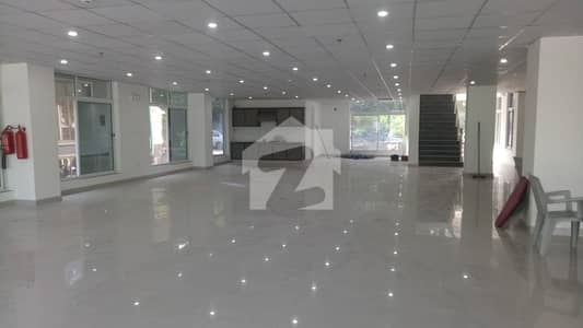 Beautiful Floor Available For Rent
