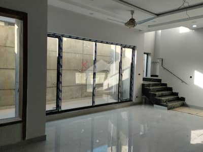 Brand New Basement For Rent