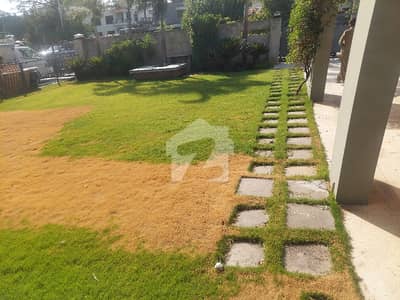 Heres A Cleaner Property Ad You Can Post: Bedrooms For Rent F11/1 Islamabad