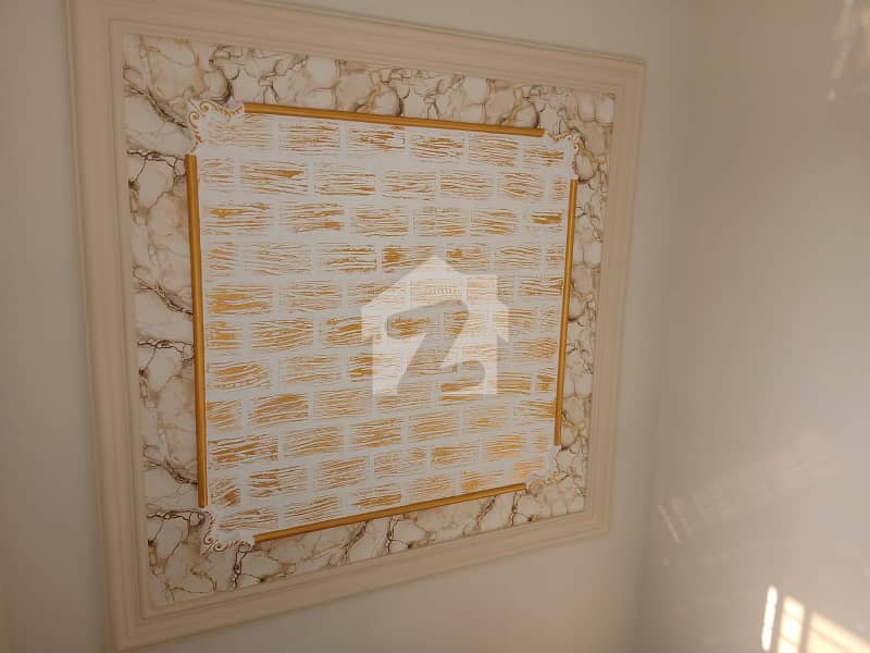 31 
