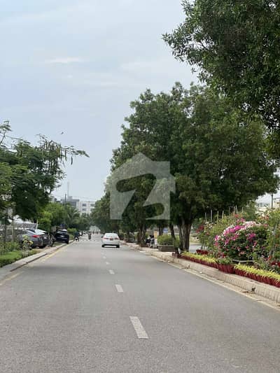 Yards Residential Plot For Sale Zone A