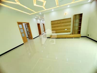Brand New House For Rent