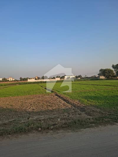 1.5 Acre Land For Sale Sialkot Dehlam Ghazi 1.5 Acre Land For Sale Sialkot Dehlam Ghazi