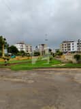 1 1