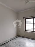 6 6