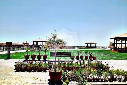 مانبارہاؤسنگ سکیم - بلاک بی مانبارہاؤسنگ سکیم,پِشوکن,گوادر میں 1 کنال رہائشی پلاٹ 6.5 لاکھ میں برائے فروخت۔ مانبارہاؤسنگ سکیم - بلاک بی مانبارہاؤسنگ سکیم,پِشوکن,گوادر میں 1 کنال رہائشی پلاٹ 6.5 لاکھ میں برائے فروخت۔