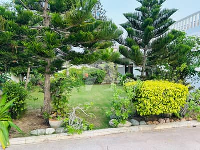 Bungalow For Rent Clifton Block 8 (Silent Commercial / Residential Use)