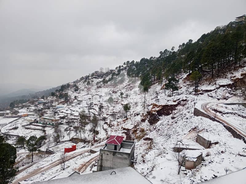 18 18
