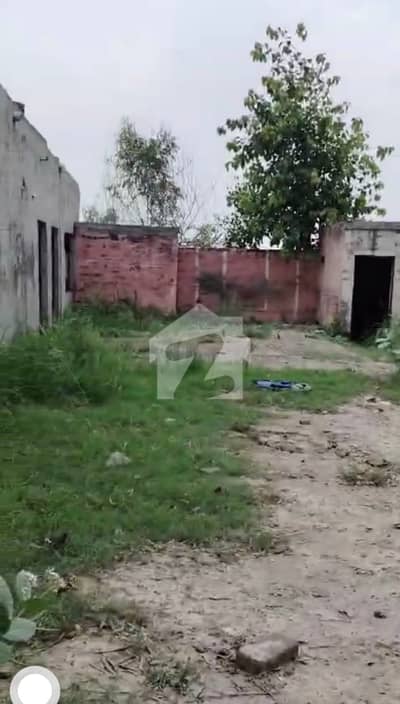 10 Kanal Corner Land Mian Jati Umra Road Facing Kanal Far Sale Best Option Farm House Etc Hot Location