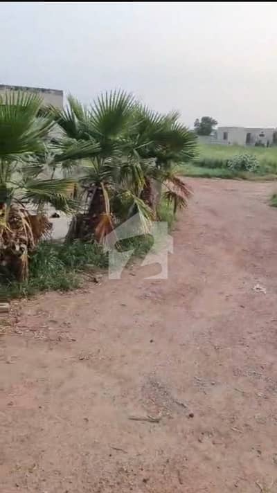 175 KANAL TWO SIDE OPEN MIAN RAIWIND ROAD 750FEET FORANT MIAN