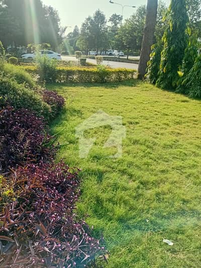 ایف ۔ 11/1 ایف ۔ 11,اسلام آباد میں 3 کمروں کا 1 کنال بالائی پورشن 2.3 لاکھ میں کرایہ پر دستیاب ہے۔