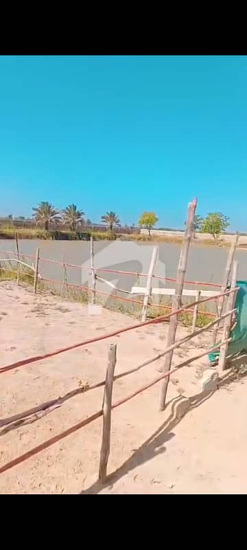 Muoroosi Land 37 Marla for Sale in Gujjo City, Mirpur Sakro, Thatta Muoroosi Land 37 Marla for Sale in Gujjo City, Mirpur Sakro, Thatta