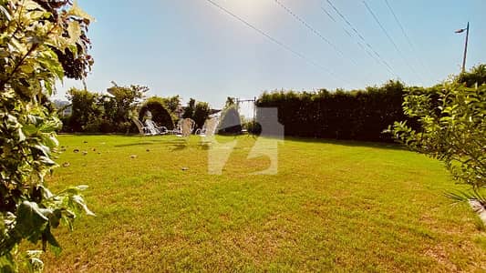 35 Plot Number Opposite Dr A Q Khan College