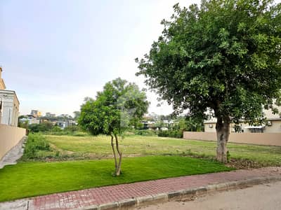 Back Open Plot With Huge Extra Land For Lawn At Back The Constructable