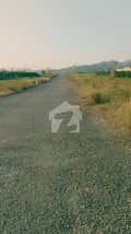 1 1