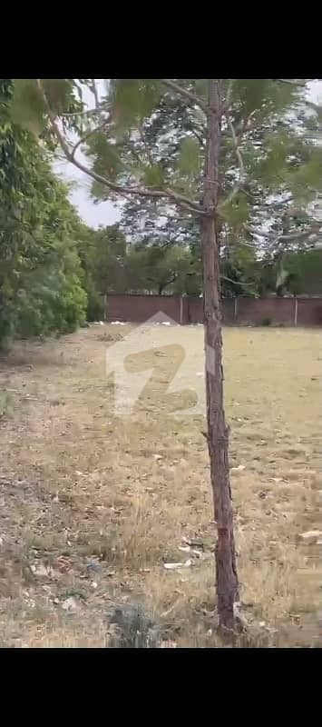 3 Kanal 12 Marla Farm Land For Sale in Thethar Lahore Prime Investment Near DHA Phase 6