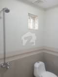 6 6