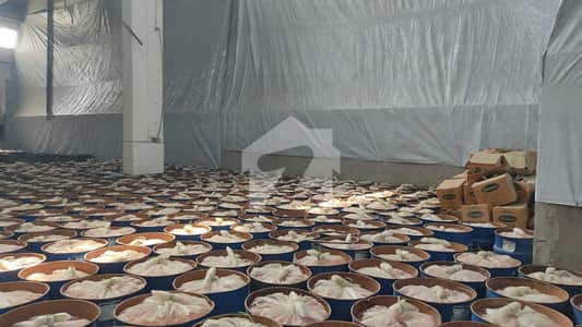 Budget-Friendly Commercial Warehouse 35000 Square Feet Available For Rent In Gajju Mattah Near Rohi Nala Excellent Storage Solution With Prime Connectivity