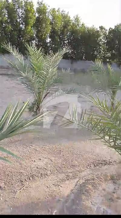 Gharo Farmhouse Plot For Sale 1 Acre limit Plot Available Gharo Farmhouse Plot For Sale 1 Acre limit Plot Available