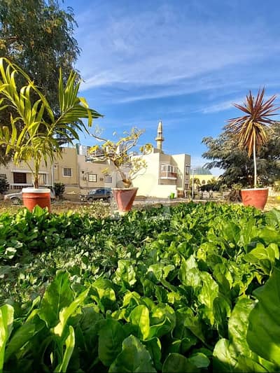 240 Square Yards House For Sale In Naya Nazimabad - Block C Karachi