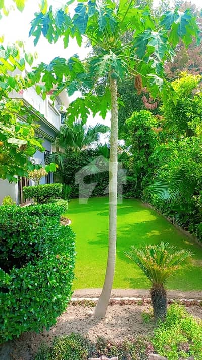 01 Kanal Beautiful Hot Location House For Sale In DHA Phase 3