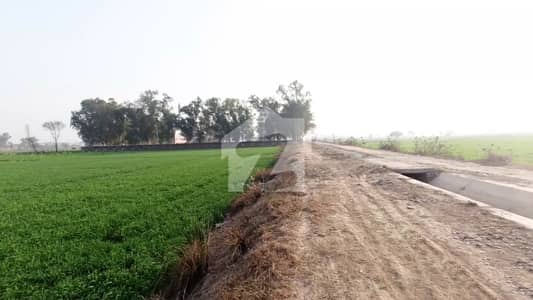 BEDIAN ROAD MAUZA JAHMAN 5 KANAL CORNER PLOT FOR SALE