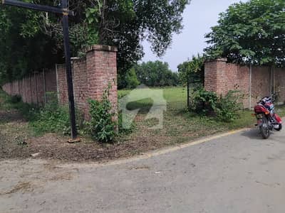 KASUR 1200 KANAL(150 ACRES) AGRICULTURAL LAND FOR SALE