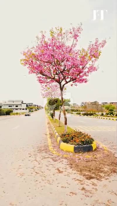 فیصل ٹاؤن فیز 1 فیصل ٹاؤن - ایف ۔ 18,اسلام آباد میں 8 مرلہ رہائشی پلاٹ 1.48 کروڑ میں برائے فروخت۔