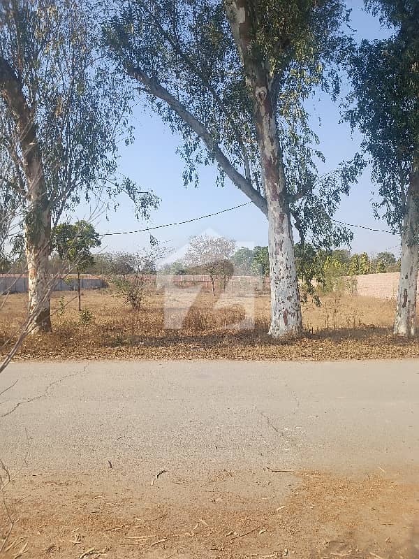 8 Kanal Plot For Sale 8 Kanal Plot For Sale