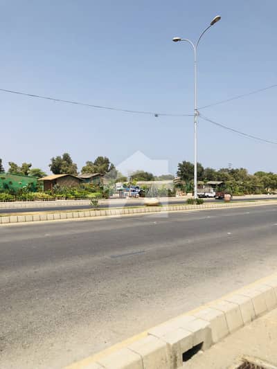 Hot Deal In Dha Phase 8 Zone E 1000 Yards Main khayaban e Shajar